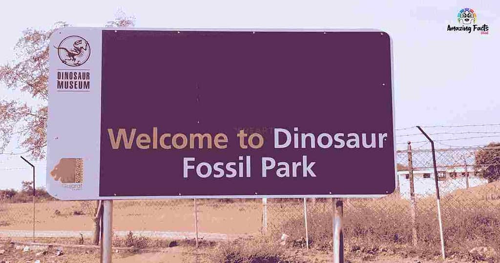 Dinosaur Fossil Park Gujrat India