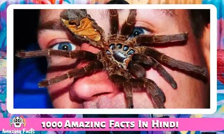 1000 Amazing Facts In Hindi आइये अपना ज्ञान बढ़ाएं