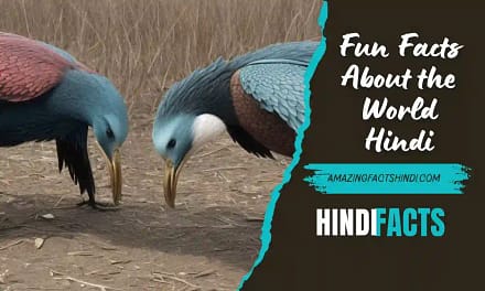 Fun Facts About the World Hindi | दुनिया के कुछ रोचक तथ्य!