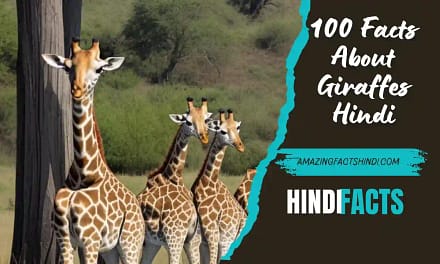 100 Facts About Giraffes Hindi | जिराफ के बारे में 100 तथ्य!