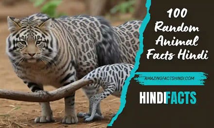 100 Random Animal Facts Hindi | 100 अलग-अलग रैंडम ऐनिमल फैक्ट्स