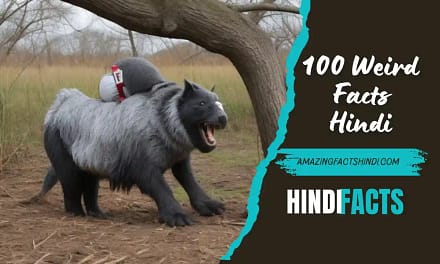 100 Weird Facts Hindi | 100 अजीबो-गरीब तथ्य!