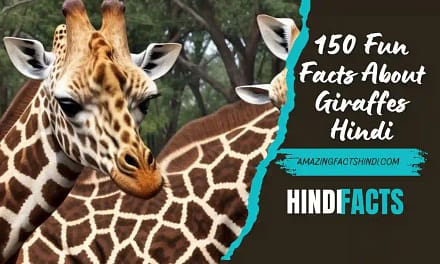 150 Fun Facts About Giraffes Hindi | जिराफ के बारे में मजेदार 150 तथ्य