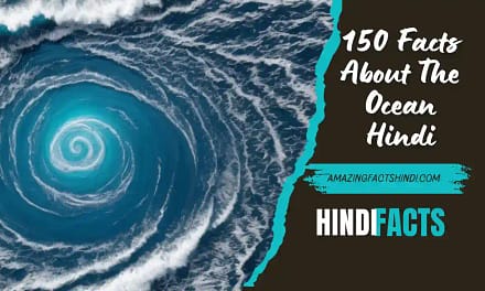 150 Facts About The Ocean Hindi | समुद्र के बारे में 150 अलग तथ्य