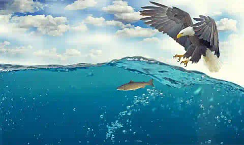 Eagles in Hindi