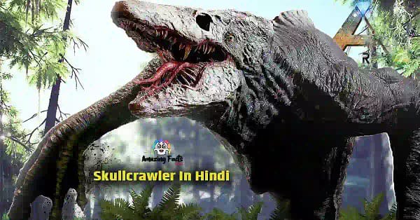 Skullcrawler In Hindi Facts
