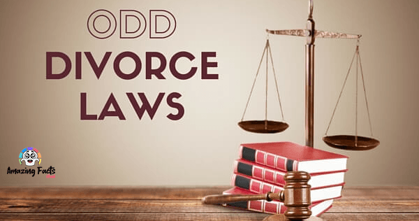 Credit : cmlaw1.com/Odd Divorce Laws