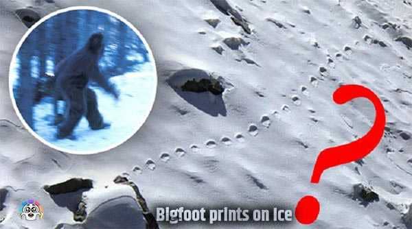 Bigfoot Prints On Ice