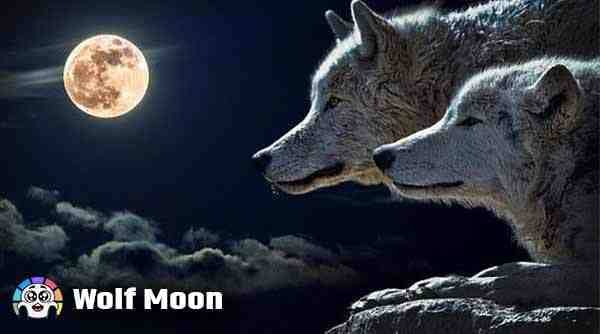 Wolf Moon - Phases of Moon in Hindi