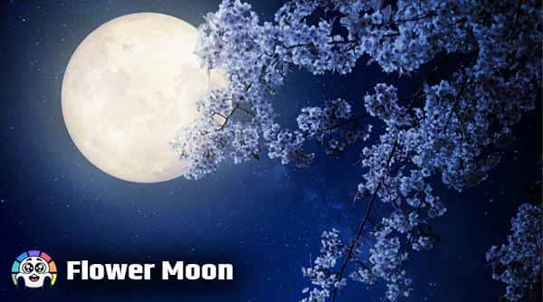 Flower Moon - Type Of Moons in Hindi