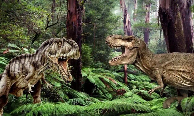 Most Famous Dinosaurs Hindi डायनासोर की 5 विश्व प्रसिद्ध प्रजातियां