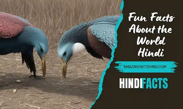 Fun Facts About the World Hindi | दुनिया के कुछ रोचक तथ्य!
