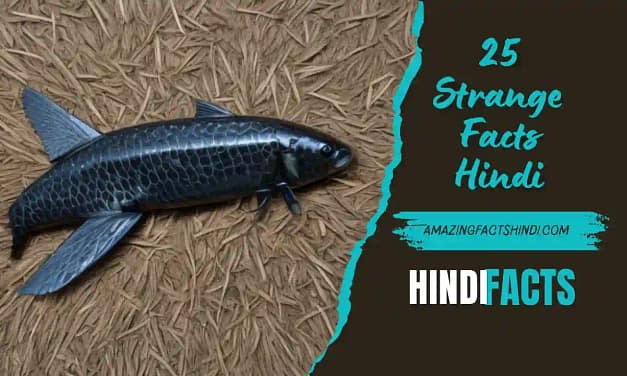 25 Strange Facts Hindi | रोंगटे खड़े कर दें, 25 अजीबोगरीब तथ्य हिंदी में!