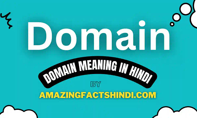 Domain Meaning in Hindi | डोमेन का अर्थ हिंदी में “क्षेत्र” या “प्रदेश” होता है