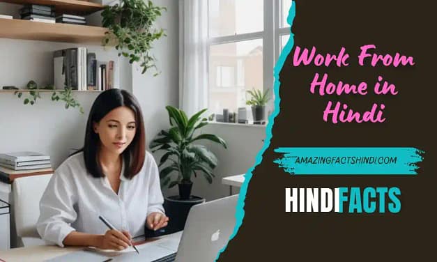 Work From Home in Hindi | हम घर बैठे-बैठे पैसे कमा सकते हैं